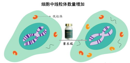 規(guī)劃150歲人生 生物科技拐點(diǎn)將至，國際資本已搶灘登陸