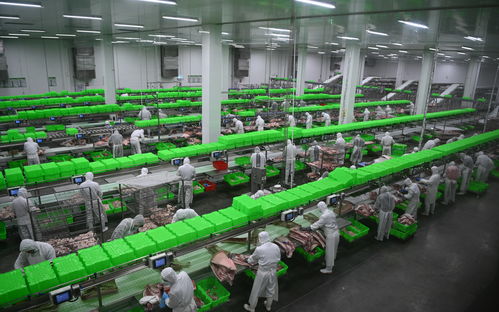 內鄉牧原食品城正式投入運行 一期投資5億元，年屠宰加工200萬頭生豬，推動生物技術開發